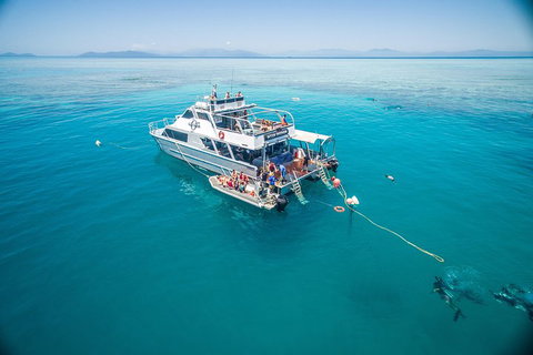 Ocean Freedom Great Barrier Reef Personal Luxury Snorkel & Dive Cruise, Cairns - Gold Coast Attractions 0