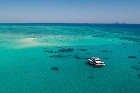 Ocean Freedom Great Barrier Reef Personal Luxury Snorkel & Dive Cruise, Cairns - Gold Coast Attractions 2