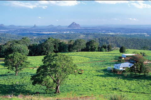Full Day Sunshine Coast Hinterland Luxury Small Group Tour From Brisbane - Gold Coast Attractions 2