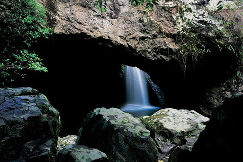 Springbrook National Park & Gold Coast Full Day Luxury Tour From Brisbane - Gold Coast Attractions 2