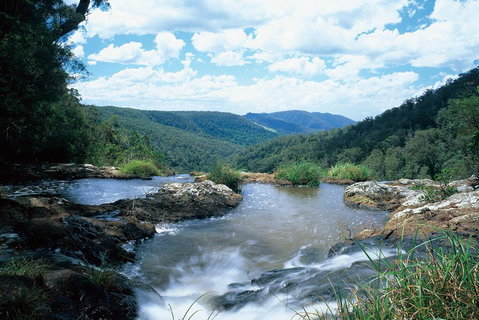 Springbrook National Park & Gold Coast Full Day Luxury Tour From Brisbane - Gold Coast Attractions 3
