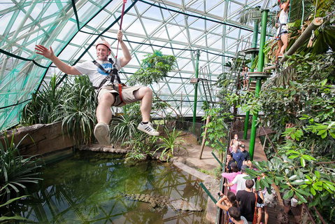 Cairns ZOOM And Wildlife Dome - Gold Coast Attractions 4