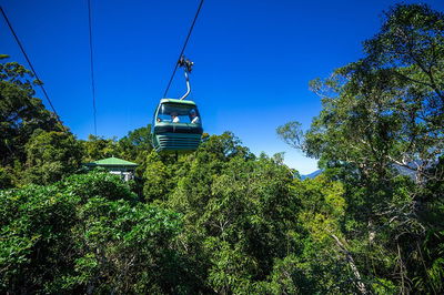 Classic Kuranda by Skyrail and Scenic Railway Including Rainforestation Koala and Wildlife Park and Pamagirri Aboriginal Experi