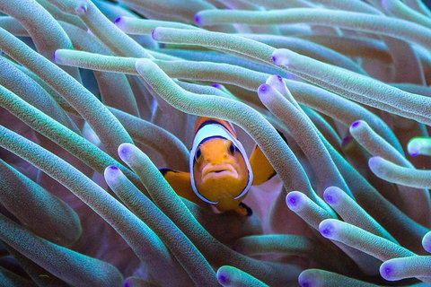 General Admission Entry At AQWA - Gold Coast Attractions 4