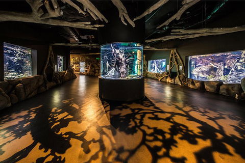 Cairns Aquarium Admission Ticket - Gold Coast Attractions 1