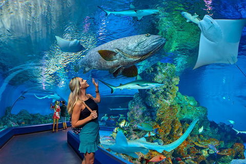 Cairns Aquarium Admission Ticket - Gold Coast Attractions 3