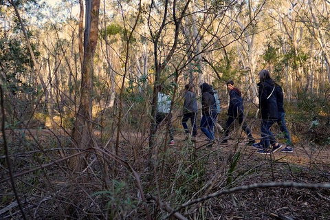 Wild Australian Wildlife 4WD Tour From Sydney - Gold Coast Attractions 0