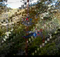 Hollybank Wilderness Adventure - Zipline Tours - Gold Coast Attractions