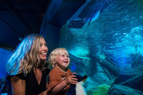 SEA LIFE Sunshine Coast Aquarium Entrance Ticket - Gold Coast Attractions 0