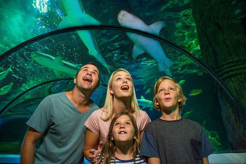 SEA LIFE Sunshine Coast Aquarium Entrance Ticket - Gold Coast Attractions 3