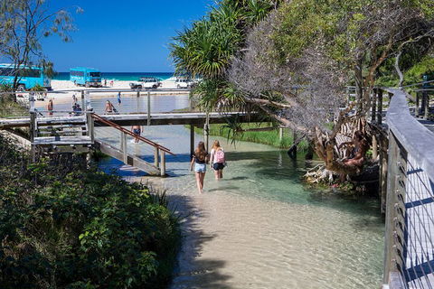 All-Inclusive Fraser Island Day Tour - Gold Coast Attractions 4