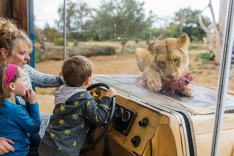 Werribee Open Range Zoo General Admission Ticket - Gold Coast Attractions 4