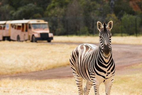 Werribee Open Range Zoo General Admission Ticket - Gold Coast Attractions 5