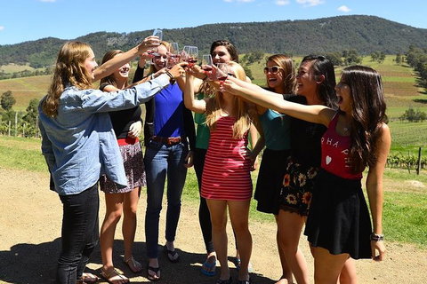 Hunter Valley Wine Tour From Sydney Incl Lunch, Cheese, Chocolate And Distillery - Gold Coast Attractions 3