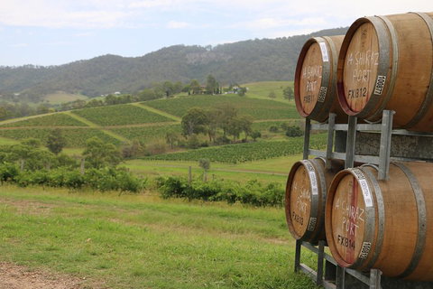 Hunter Valley Wine Tour From Sydney Incl Lunch, Cheese, Chocolate And Distillery - Gold Coast Attractions 5