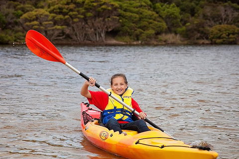 Kangaroo Island Self-Guided Kayaking On The Harriet River - Gold Coast Attractions 1