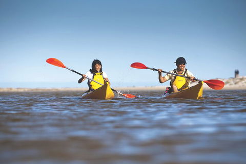 Kangaroo Island Self-Guided Kayaking On The Harriet River - Gold Coast Attractions 2