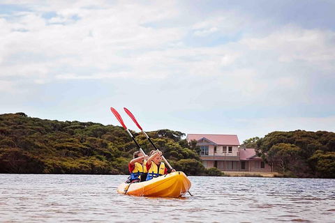 Kangaroo Island Self-Guided Kayaking On The Harriet River - Gold Coast Attractions 5