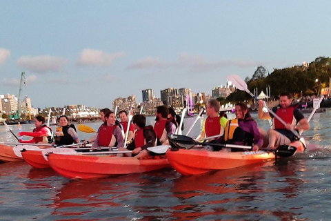 Brisbane River Guided Evening Tour By Kayak - Our Most Popular Tour - Gold Coast Attractions 0