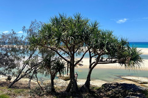 Full-Day Small Group Tour To North Stradbroke Island - Gold Coast Attractions 5