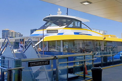 Brisbane City Essentials Walking Tour - Gold Coast Attractions 3