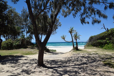Brisbane Like A Local Customized Private Tour - Gold Coast Attractions 3