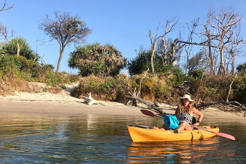 1-Hour Single Or Double Kayak Hire On Golden Beach, Caloundra - Gold Coast Attractions 4