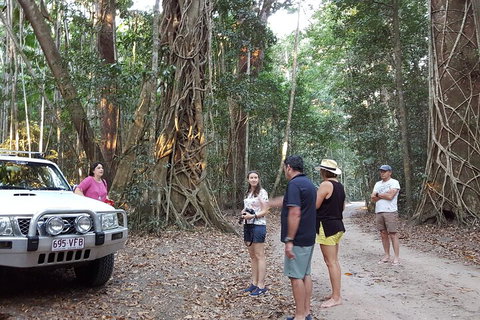 Great Beach Drive 4WD Tour - Private Charter From Noosa To Rainbow Beach - Gold Coast Attractions 1