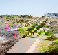 Margaret River Coastal and Wildlife Eco Trip from Busselton or Dunsborough - Gold Coast Attractions